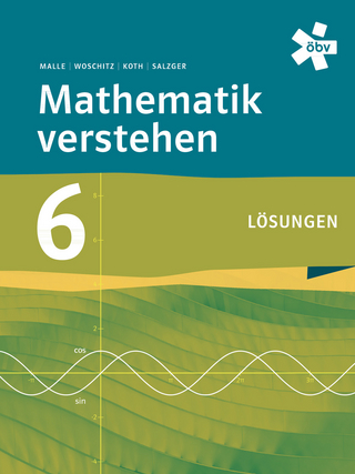 Mathematik verstehen 6, Lösungen