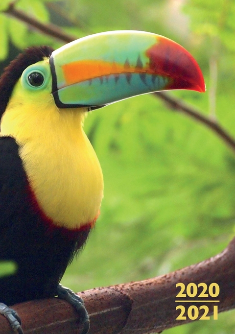 Lehrerkalender: A5-PlanerWIRE-O 2021/2022