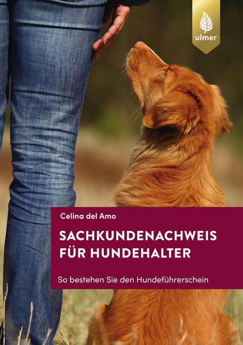 Sachkundenachweis f&uuml;r Hundehalter - Celina del Amo