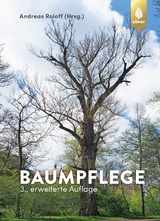 Baumpflege - Roloff, Andreas