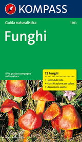 Funghi - Christine Jaitner