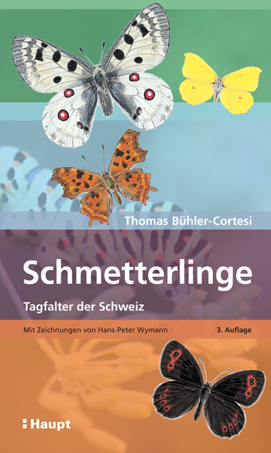 Schmetterlinge - Thomas B&uuml;hler-Cortesi