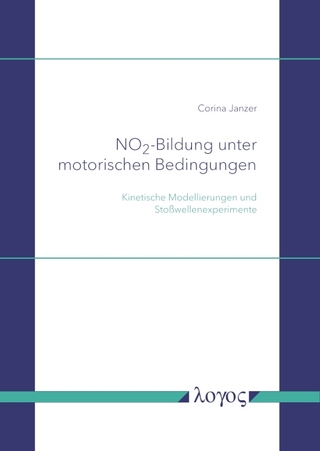 NO2 -Bildung unter motorischen Bedingungen