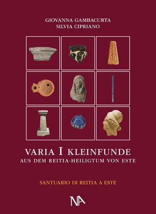 Varia I Die nichtmetallenen Kleinfunde aus dem Reitia–Heiligtum von Este (Ausgrabungen 1880-1916 und 1987-1991)