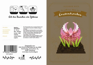 Klapppostkarte mit Saatsteckling: Kleedrache