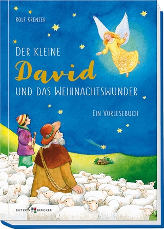 Der kleine David und das Weihnachtswunder