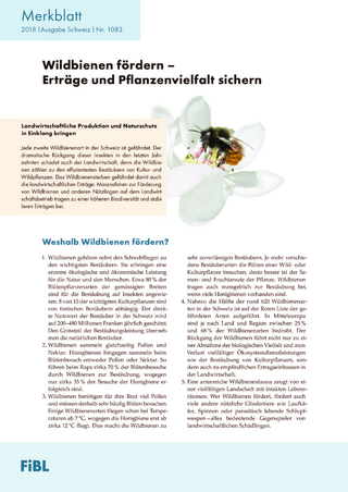 Wildbienen fördern - Erträge und Pflanzenvielfalt sichern