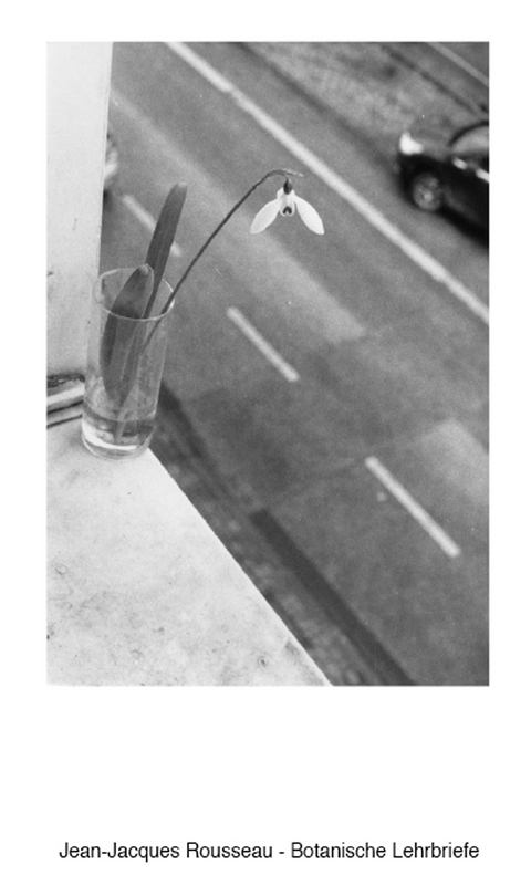 Botanische Lehrbriefe - 