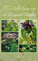 Wildblumen im Tierpark Cottbus - Sieglinde Sack