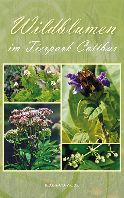 Wildblumen im Tierpark Cottbus - Sieglinde Sack