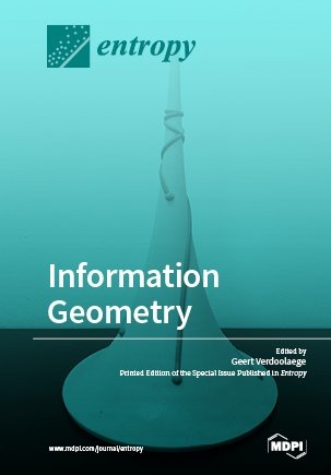 Information Geometry