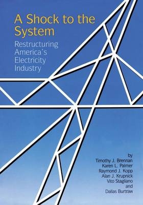A Shock to the System -  Timothy J. Brennan,  Dallas Burtraw,  Raymond J. Kopp,  Alan J. Krupnick,  Karen L. Palmer,  Vito Stagliano
