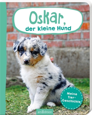 Erste Fotogeschichte: Oskar, der kleine Hund