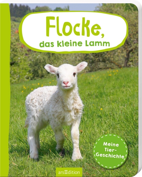 Erste Fotogeschichte: Flocke, das kleine Lamm - 