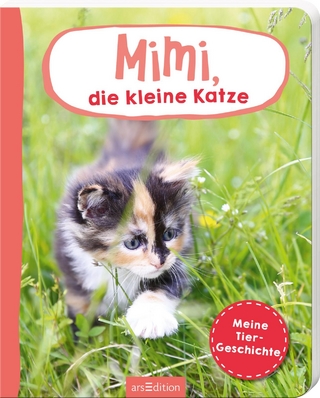 Erste Fotogeschichte: Mimi, die kleine Katze