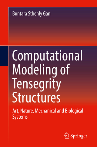 Computational Modeling of Tensegrity Structures