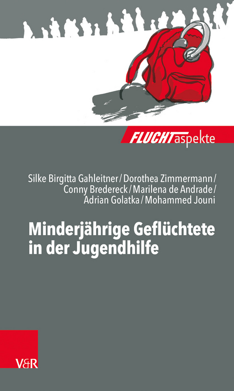 Minderj&auml;hrige Gefl&uuml;chtete in der Jugendhilfe - Dorothea Zimmermann, Silke Birgitta Gahleitner, Marilena de Andrade, Conny Martina Bredereck, Adrian Golatka, Mohammed Jouni