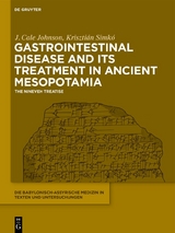 Gastrointestinal Disease and Its Treatment in Ancient Mesopotamia - J. Cale Johnson, Kriszti&aacute;n Simk&oacute;