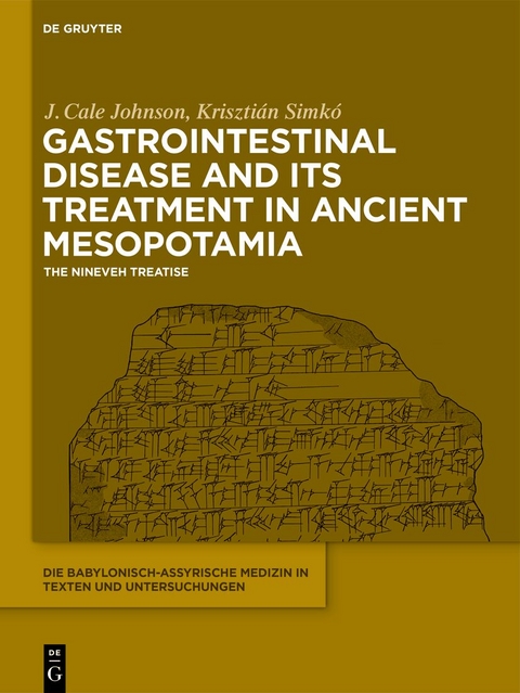 Gastrointestinal Disease and Its Treatment in Ancient Mesopotamia - J. Cale Johnson, Kriszti&aacute;n Simk&oacute;
