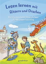 Lesen lernen mit Rittern und Drachen - Werner F&auml;rber, Lydia Hauenschild, Christiane Wittenburg
