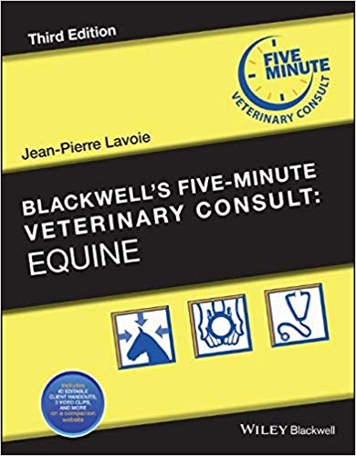 Equine - Jean-Pierre Lavoie