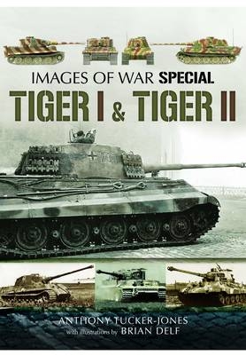 Tiger I & Tiger II -  Anthony Tucker-Jones