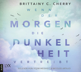 Wenn der Morgen die Dunkelheit vertreibt - Brittainy C. Cherry