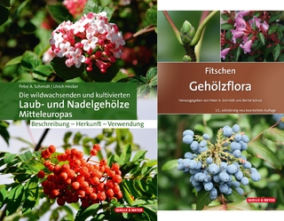 Die wildwachsenden und kultivierten Laub- und Nadelgehölze Mitteleuropas + Fitschen – Gehölzflora 13. Auflage