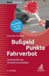 Bußgeld, Punkte, Fahrverbot - Krumm, Carsten