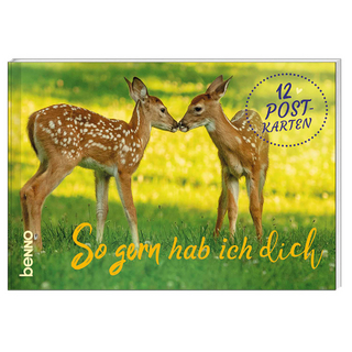 Postkartenbuch »So gern hab ich dich«