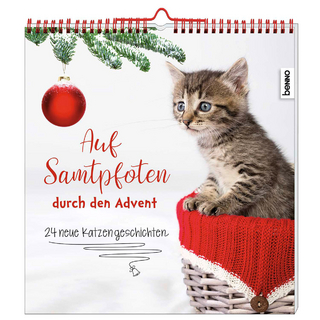 Auf Samtpfoten durch den Advent