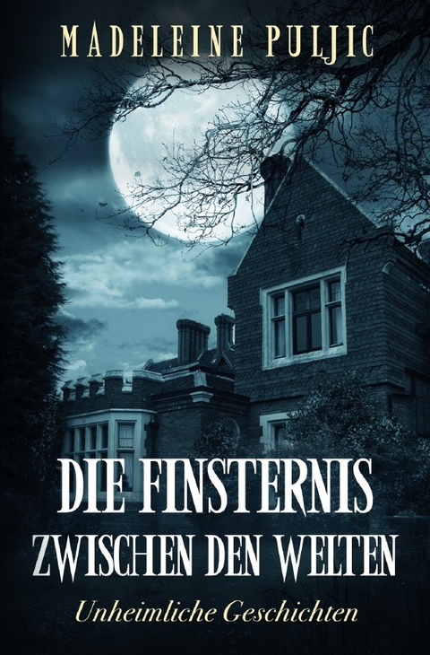 Die Finsternis zwischen den Welten - Madeleine Puljic