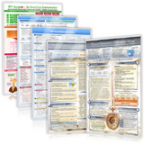 [5er-Set] Das NLP & GFK & Hypnose Lern- und Weiterbildungs-Set (2024) - Gaby Cammerer, Samuel Cremer, Christian Schumacher