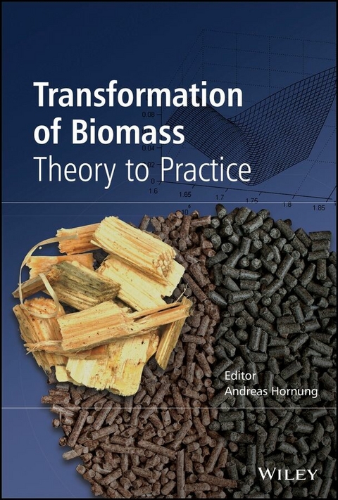 Transformation of Biomass - Andreas Hornung