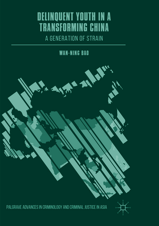 Delinquent Youth in a Transforming China
