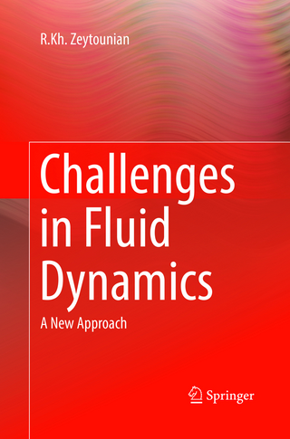 Challenges in Fluid Dynamics