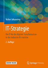 IT-Strategie - Johanning, Volker