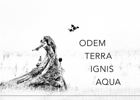 Gedichte19 - Herwig K. Troppko