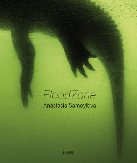 FloodZone - Anastasia Samoylova
