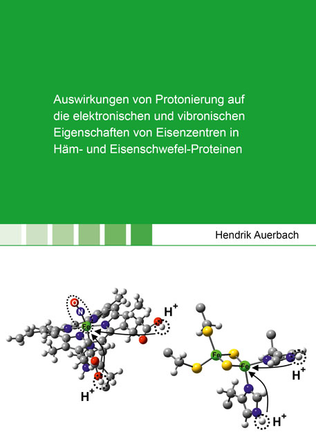 Auswirkungen von Protonierung auf die elektronischen und vibronischen Eigenschaften von Eisenzentren in H&auml;m- und Eisenschwefel-Proteinen - Hendrik Auerbach