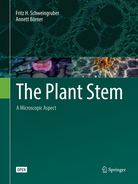 The Plant Stem - Fritz H. Schweingruber, Annett B&ouml;rner