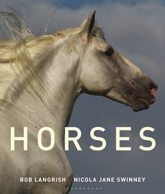 Horses -  Nicola Jane Swinney