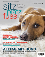 SitzPlatzFuss, Ausgabe 36 - 
