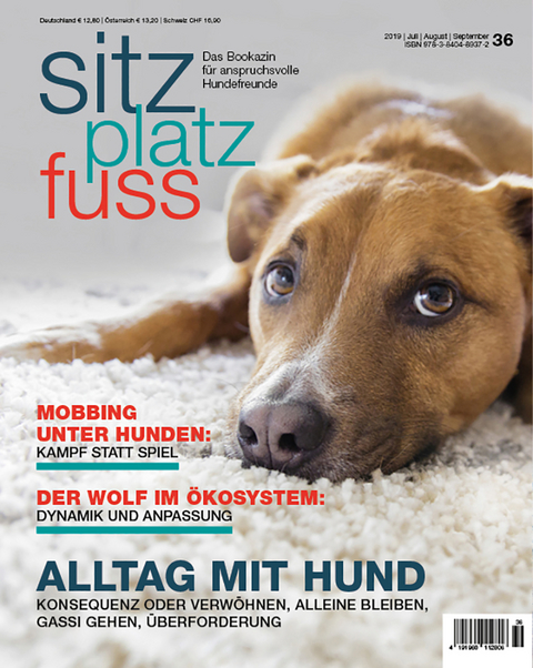 SitzPlatzFuss, Ausgabe 36 - 