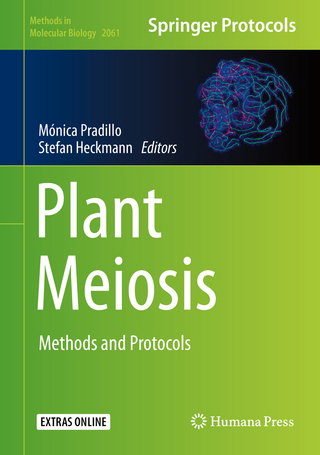Plant Meiosis