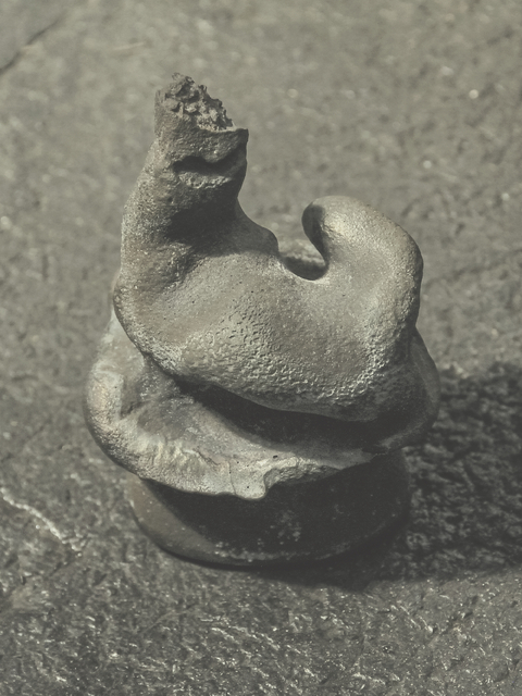 Muscle Memory. Nina Canell & Robin Watkins - 