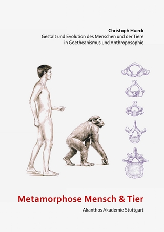 Metamorphose Mensch und Tier