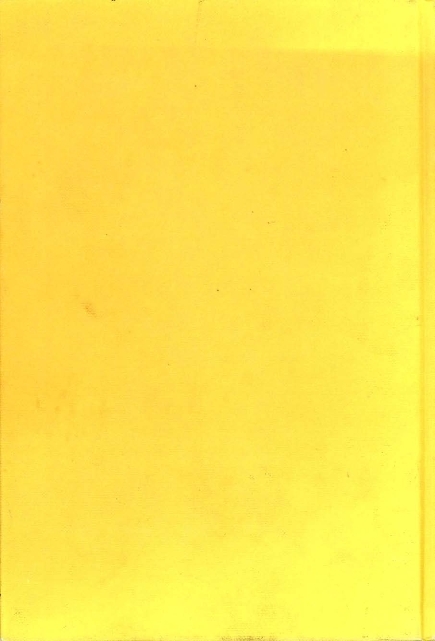 BETWEEN MIND & COMPUTER:FUZZY SCI...(V1) - 