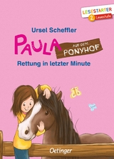 Paula auf dem Ponyhof. Rettung in letzter Minute - Ursel Scheffler
