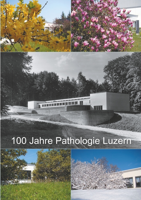 100 Jahre Pathologie Luzern - Joachim Diebold, Hedwig Trinkler, Aldo Colombi